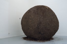 REBECCA SCHWARZMEIER