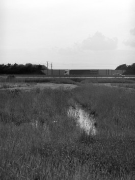 REBECCA SCHWARZMEIER