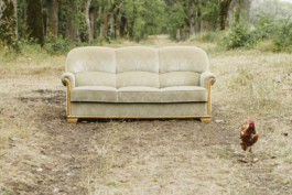 REBECCA SCHWARZMEIER