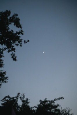 REBECCA SCHWARZMEIER