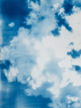 REBECCA SCHWARZMEIER